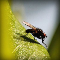 /album/www-smecsrl-it/photolia-a04-jpg/