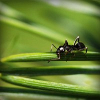 /album/www-smecsrl-it/photolia-a05-jpg/